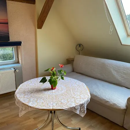 דירה Helles Und Charmantes Loft Mit Herrlichem Blick דרזדן