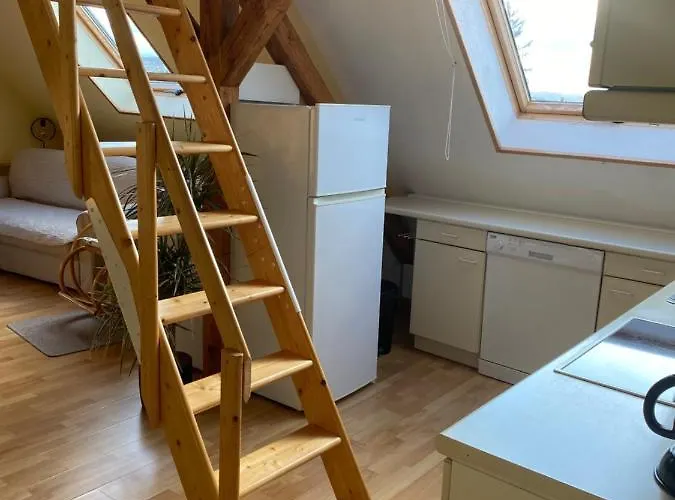 Helles Und Charmantes Loft Mit Herrlichem Blick דרזדן