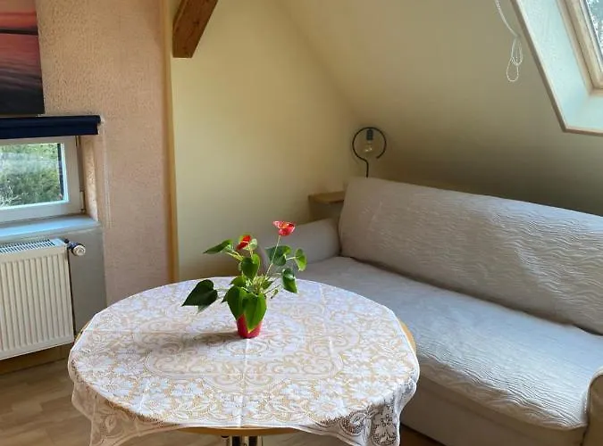 Apartment Helles Und Charmantes Loft Mit Herrlichem Blick Dresden