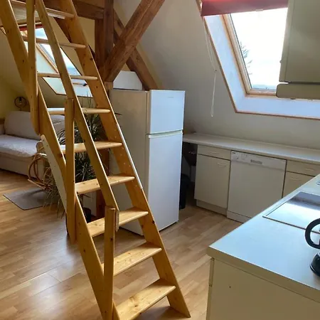 Helles Und Charmantes Loft Mit Herrlichem Blick Drezda